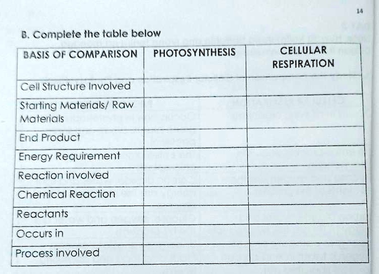 B complete the table below basis of comparison...