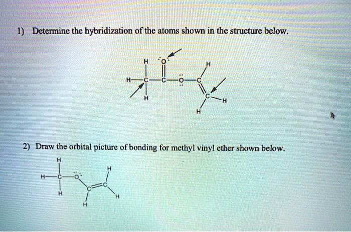 Solved Determine The Hybridization Of The Atoms Shown In The Structure Below Draw The Orbital 9561