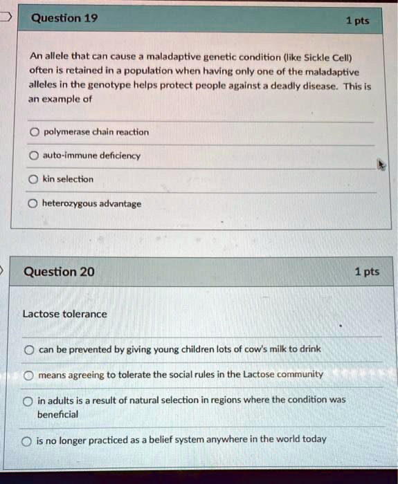 Question 19
An allele that can cause a maladaptive genetic condition (like Sickle Cell) often is retained in a population when having only one of the maladaptive alleles in the genotype helps protect people against a deadly disease. This is an example of
polymerase chain reaction
auto-immune deficiency
kin selection
heterozygous advantage
Question 20
Lactose tolerance
can be prevented by giving young children lots of cow's milk to drink
means agreeing to tolerate the social rules in the Lactose community
in adults is a result of natural selection in regions where the condition was beneficial
is no longer practiced as a belief system anywhere in the world today
