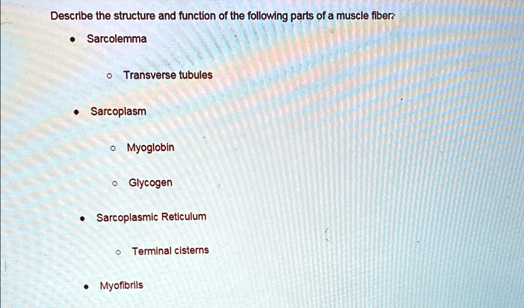 Describe the structure and function of the following parts of a muscle ...