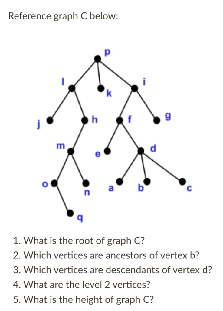 SOLVED: Reference graph C below: 6 m d a n 1. What is the root of graph ...