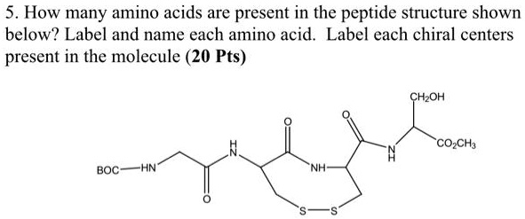 SOLVED: How many amino acids are present in the peptide structure shown ...