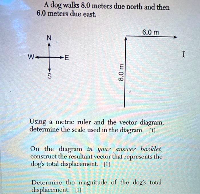 A dog walks 8.0 meters due north and then 6.0 meters due east.
N
W+E
S
6.0 m
8.0 m
Using a metric ruler and the vector diagram, determine the scale used in the diagram. [1]
On the diagram in your answer booklet, construct the resultant vector that represents the dog's total displacement. [1]
Determine the magnitude of the dog's total displacement. [1]