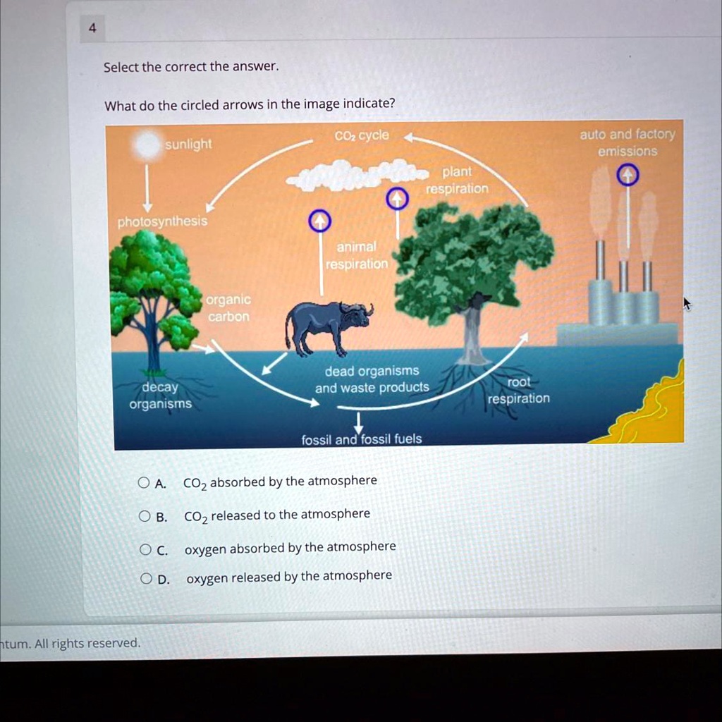 SOLVED What do the circled arrows