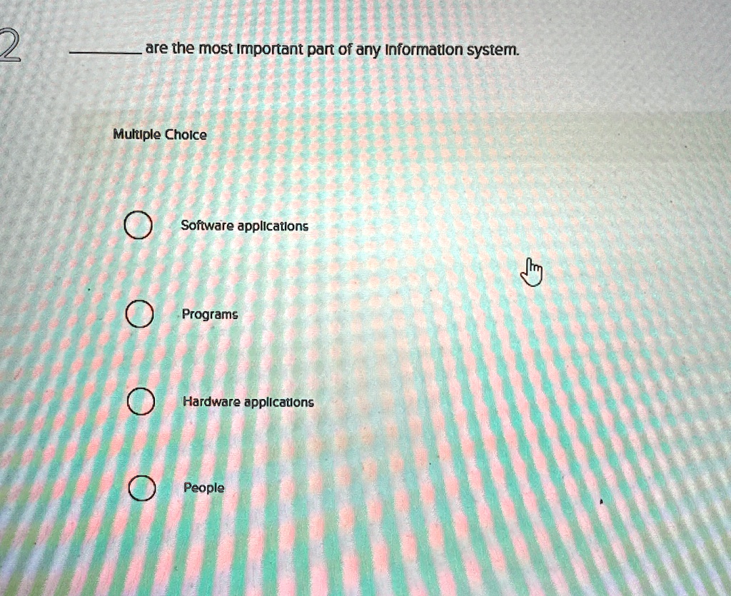 2 are the most important part of any information system multiple choice