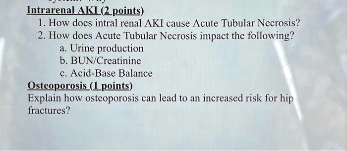 SOLVED: Texts: Intrarenal AKI (2 points) 1. How does intrarenal AKI ...