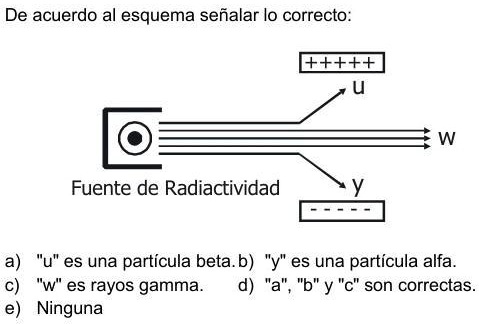 SOLVED: Pido Ayuda,doy Coronita.. De Acuerdo Al Esquema Señalar Lo ...