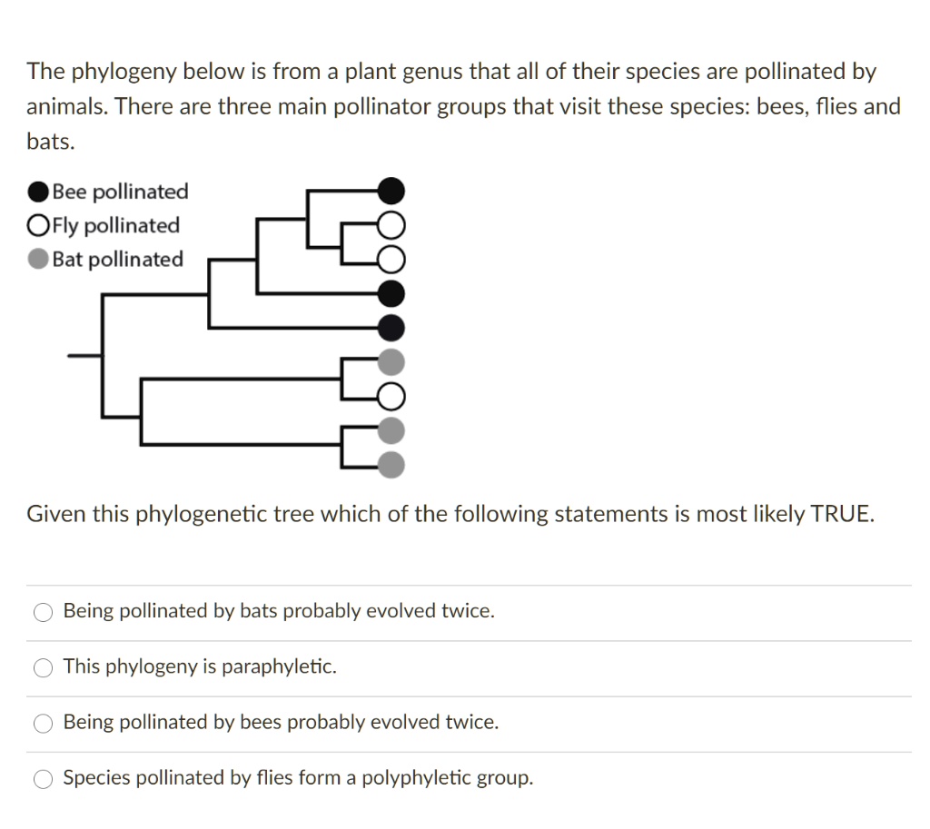 SOLVED The phylogeny below is from a plant genus in which all of their