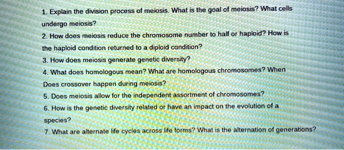 SOLVED: Explain the division process of meiosis What is the goal of ...