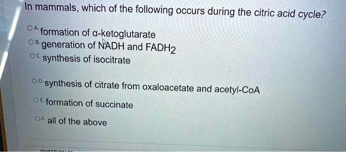 In mammals, which of the following occurs during the citric acid cycle?

A. formation of ?-ketoglutarate
B. generation of NADH and FADH2
C. synthesis of isocitrate
D. synthesis of citrate from oxaloacetate and acetyl-CoA
E. formation of succinate
F. all of the above