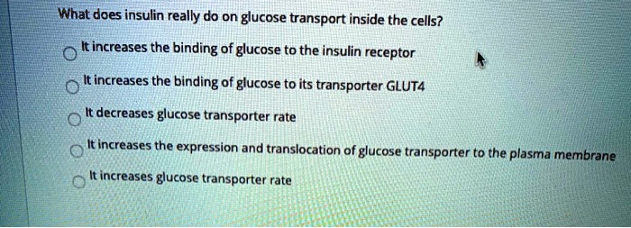 What does insulin really do on glucose transport inside the cells?
It increases the binding of glucose to the insulin receptor
It increases the binding of glucose to its transporter GLUT4
It decreases glucose transporter rate
It increases the expression and translocation of glucose transporter to the plasma membrane
It increases glucose transporter rate