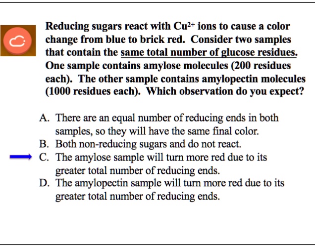Why does amylose have more reducing ends in comparison to amylopectin ...