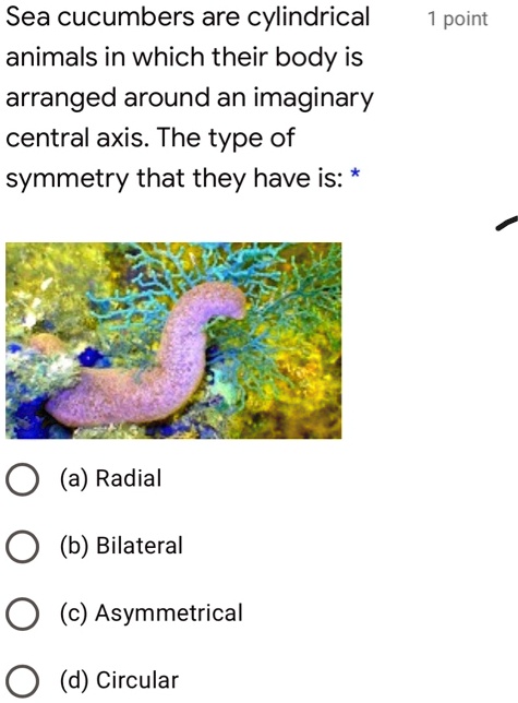 SOLVED: Sea cucumbers are cylindrical animals in which their body is  arranged around an imaginary central axis: The type of symmetry that they  have is: point (a) Radial (b) Bilateral (c) Asymmetrical (