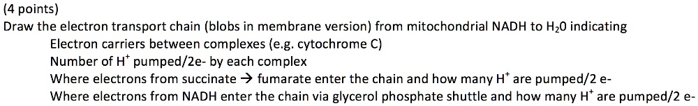 SOLVED: (4 points) Draw the electron transport chain (blobs in membrane ...