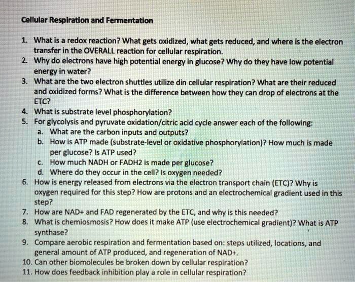 SOLVED Cellular Respiration and Fermentation What is a redox reaction