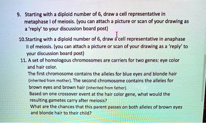 Label the gametes of the aa bb parent with the chromosomes carrying the correct alleles.