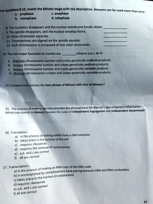 SOLVED The nucleolus disappears and the nuclear membrane breaks down