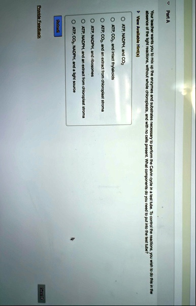part a your teacher wants you to mix up the enzymes and substrates necessary to perform the calvin cycle in a test tube to control the reactions you wish to do this in the absence of the lig 21197