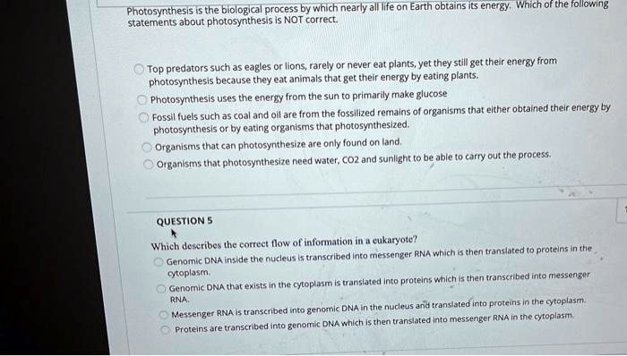 Solved Photosynthesis Is The Biological Process By Which Nearly Solved Photosynthesis Is The Biological Process By Which Nearly