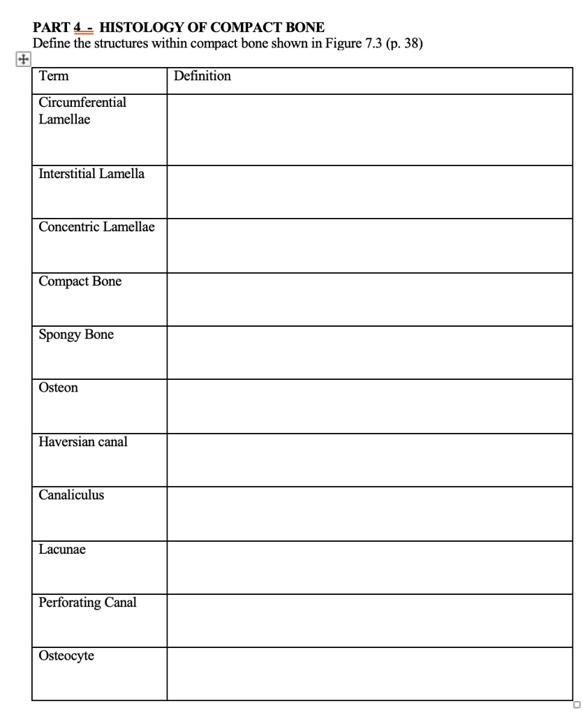 Solved: Part 4 - Histology Of Compact Bone Define The Structures Within 