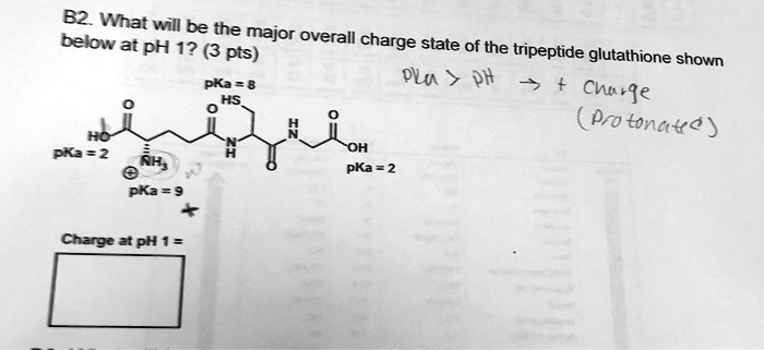 tripeptide glutathione Tripeptide Stock Illustrations – 97 Tripeptide Stock Illustrations, Vectors  & Clipart main image 1