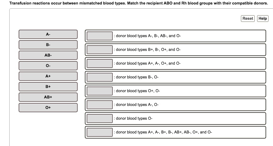 SOLVED: Transfusion Reactions Occur Between Mismatched Blood Types ...