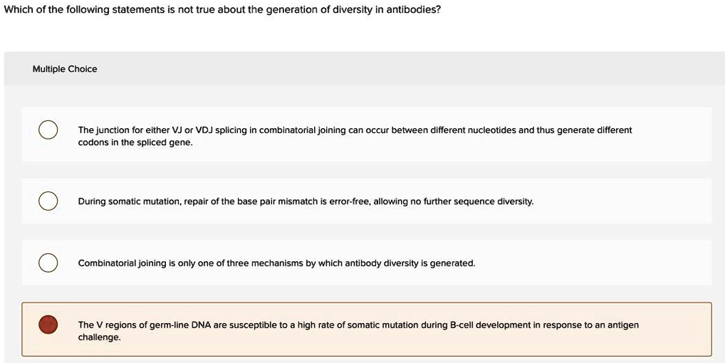 Which of the following statements is not true about the generation of diversity in antibodies?

The junction for either VJ or VDJ splicing in combinatorial joining can occur between different nucleotides and thus generate different codons in the spliced gene.
During somatic mutation, repair of the base pair mismatch is error-free, allowing no further sequence diversity.
Combinatorial joining is only one of three mechanisms by which antibody diversity is generated.
The V regions of germ-line DNA are susceptible to a high rate of somatic mutation during B-cell development in response to an antigen challenge.