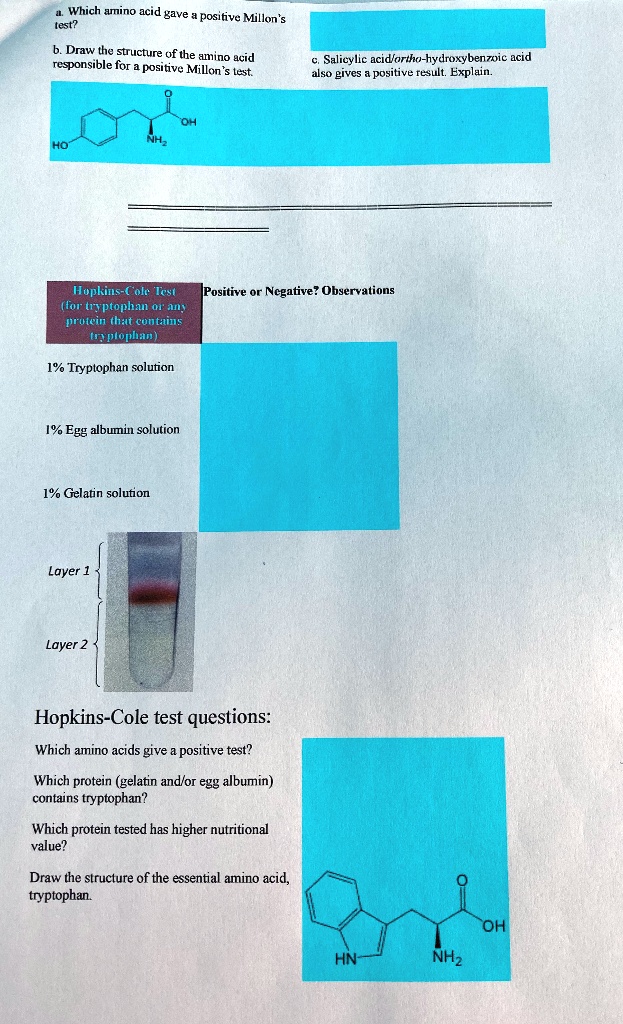 Which amino acid gave the least positive Millon's test? Draw the