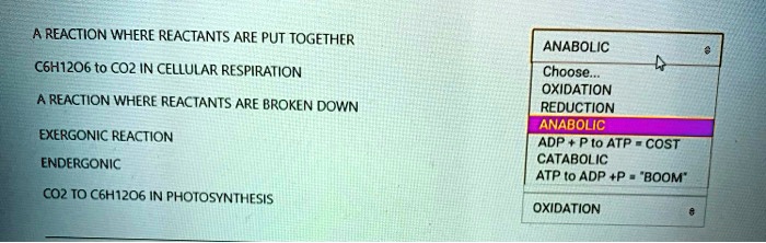 A REACTION WHERE REACTANTS ARE PUT TOGETHER
C6H12O6 to CO2 IN CELLULAR RESPIRATION
A REACTION WHERE REACTANTS ARE BROKEN DOWN
EXERGONIC REACTION
ENDERGONIC
CO2 TO C6H12O6 IN PHOTOSYNTHESIS
ANABOLIC
Choose...
OXIDATION
REDUCTION
ANABOLIC
ADP + P to ATP = COST
CATABOLIC
ATP to ADP +P = "BOOM"
OXIDATION