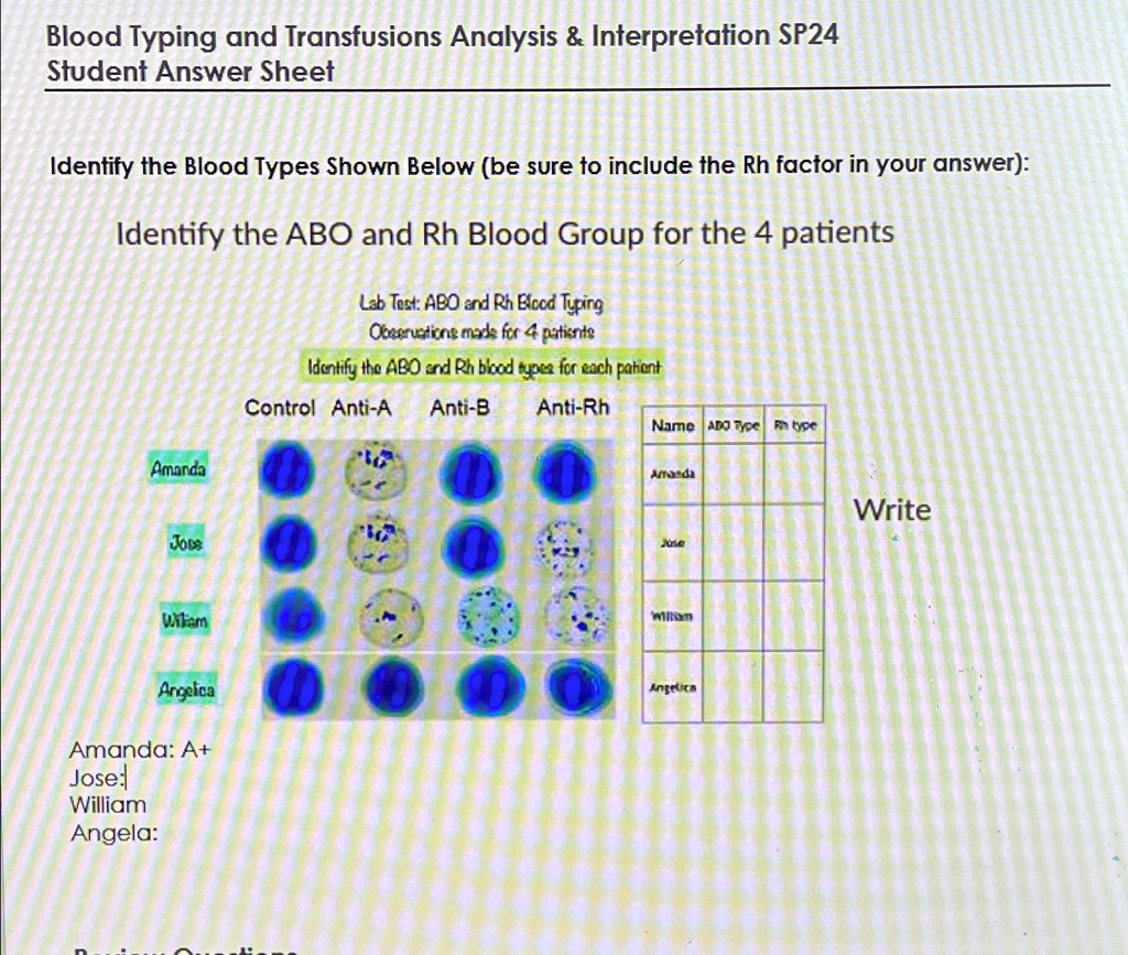 blood-typing-and-transfusions-analysis-interpretation-sp24-student-answer-sheet-identify-the