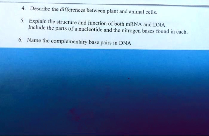 SOLVED: Describe the differences between plant and animal cells. Explain  the structure and function of both mRNA and DNA Inelude the parts of a  nucleotide and the nitrogen bases found in each