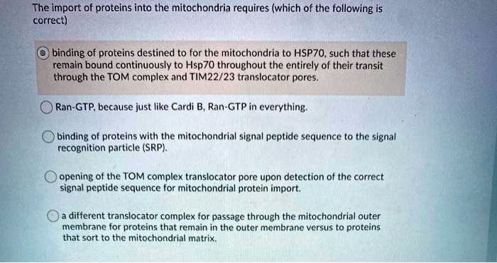 The import of proteins into the mitochondria requires (which of the following is correct)

binding of proteins destined to for the mitochondria to HSP70, such that these remain bound continuously to Hsp70 throughout the entirety of their transit through the TOM complex and TIM22/23 translocator pores.

Ran-GTP, because just like Cardi B, Ran-GTP in everything.

binding of proteins with the mitochondrial signal peptide sequence to the signal recognition particle (SRP).

opening of the TOM complex translocator pore upon detection of the correct signal peptide sequence for mitochondrial protein import.

a different translocator complex for passage through the mitochondrial outer membrane for proteins that remain in the outer membrane versus to proteins that sort to the mitochondrial matrix.