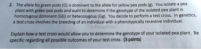 The allele for green pods (G) is dominant to the allele for yellow pea pods (g). You isolate a pea plant with green pea pods and want to determine if the genotype of the isolated pea plant is homozygous dominant (GG) or heterozygous (Gg). You decide to perform a test cross. In genetics, a test cross involves the breeding of an individual with a phenotypically recessive individual.

Explain how a test cross would allow you to determine the genotype of your isolated pea plant. Be specific regarding all possible outcomes of your test cross. (3 points)