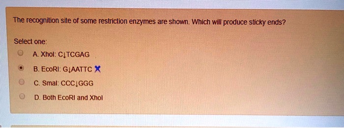 Solved The Recognition Site Of Some Restriction Enzymes Is Shown Which Will Produce Sticky