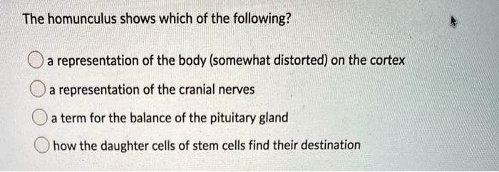 the homunculus shows which of the following a representation of the ...