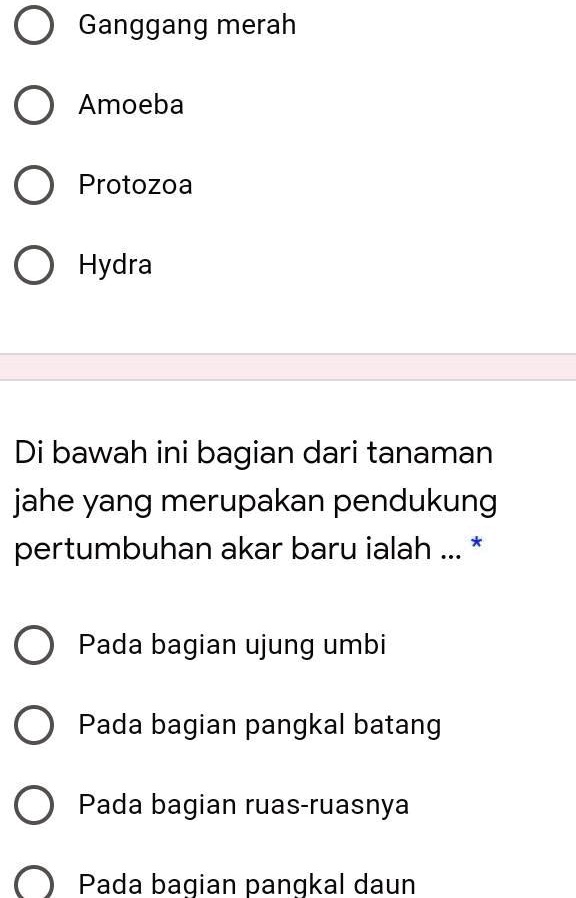 Hewan Di Bawah Ini Yang Bisa Dijadikan Sebagai Hewan Peliharaan Adalah