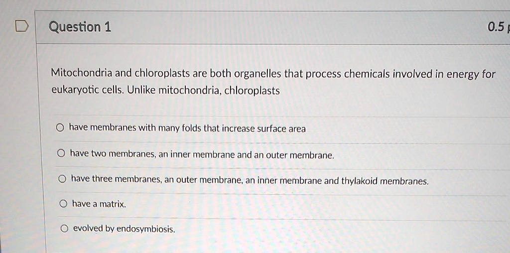 why-do-animal-cells-have-more-mitochondria-than-plant-cells-animalsd