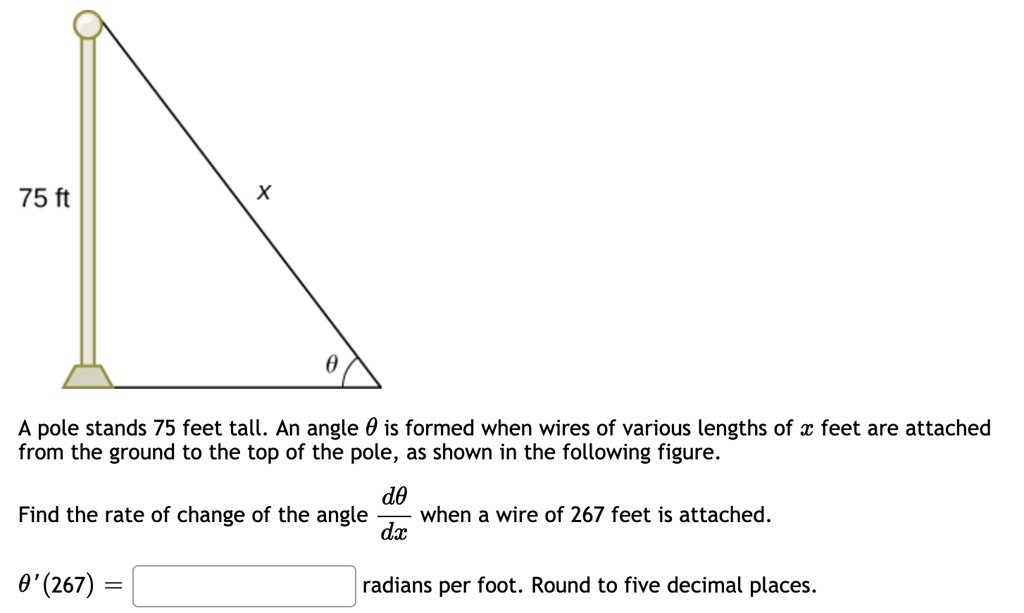 What Is 75 Feet Tall