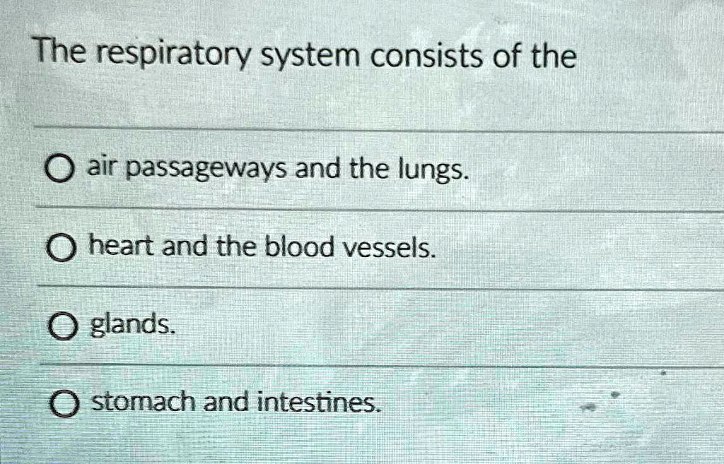 SOLVED: The respiratory system consists of the air passageways and the ...