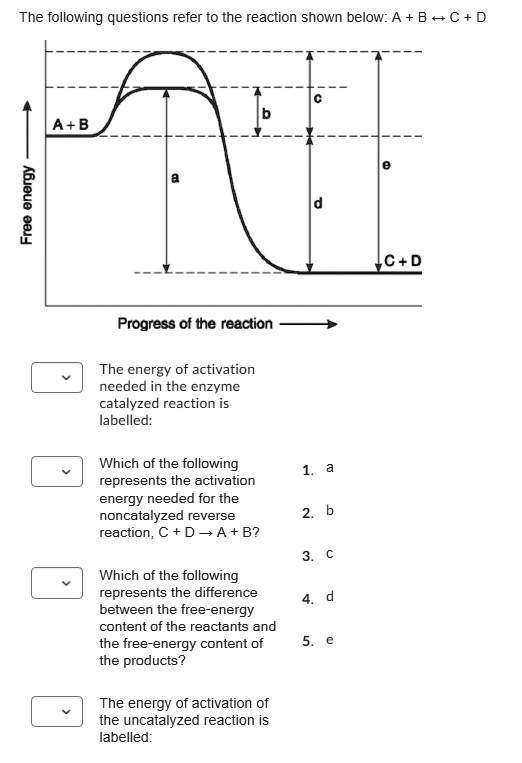 SOLVED: The following questions refer t0 the reaction shown below: A B ...