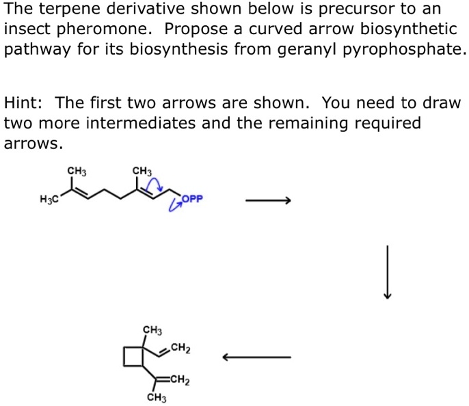 SOLVED: The Terpene Derivative Shown Below Is Precursor To An Insect ...