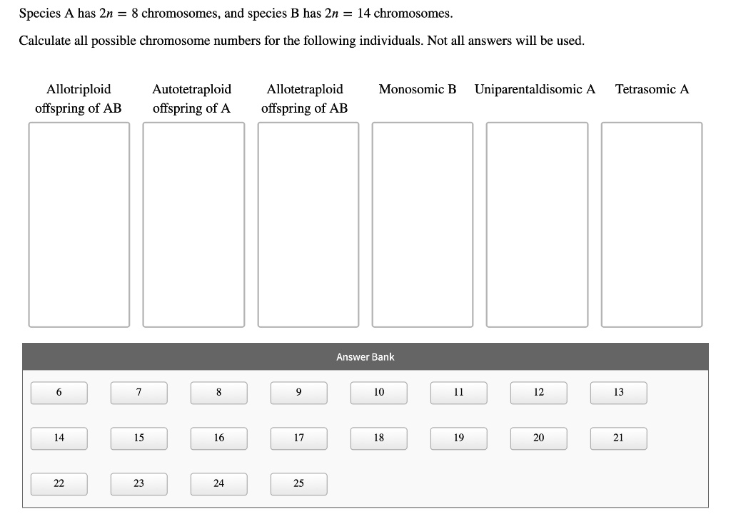 Species A has 2n = 8 chromosomes, and species B has 2n = 14 chromosomes.
Calculate all possible chromosome numbers for the following individuals. Not all answers will be used.
Allotriploid offspring of AB
Autotetraploid offspring of A
Allotetraploid offspring of AB
Monosomic B
Uniparentaldisomic A
Tetrasomic A
Answer Bank
6 7 8 9 10 11 12 13
14 15 16 17 18 19 20 21
22 23 24 25