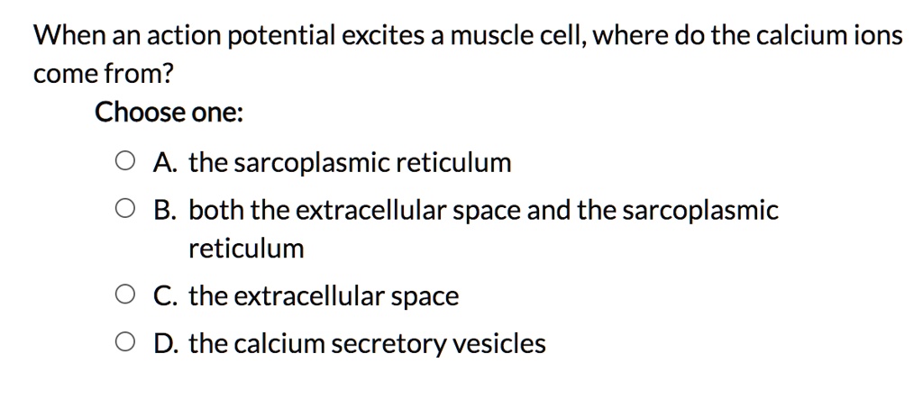 SOLVED: When an action potential excites a muscle cell, where do the ...