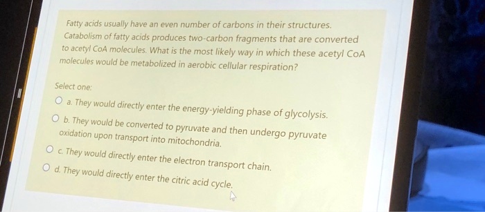 Fatty acids usually have an even number of carbons in their structures.
Catabolism of fatty acids produces two-carbon fragments that are converted
to acetyl CoA molecules. What is the most likely way in which these acetyl CoA
molecules would be metabolized in aerobic cellular respiration?
Select one:
Oa. They would directly enter the energy-yielding phase of glycolysis.
Ob. They would be converted to pyruvate and then undergo pyruvate
oxidation upon transport into mitochondria.
Oc. They would directly enter the electron transport chain.
Od. They would directly enter the citric acid cycle.
