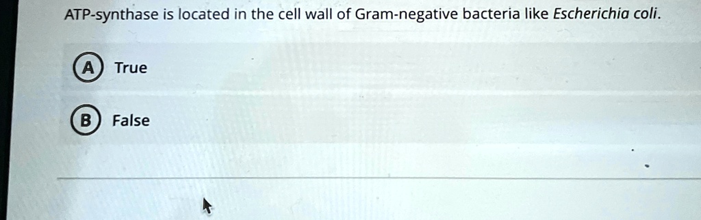 ATP-synthase is located in the cell wall of Gram-negative bacteria like Escherichia coli.
A) True
B) False