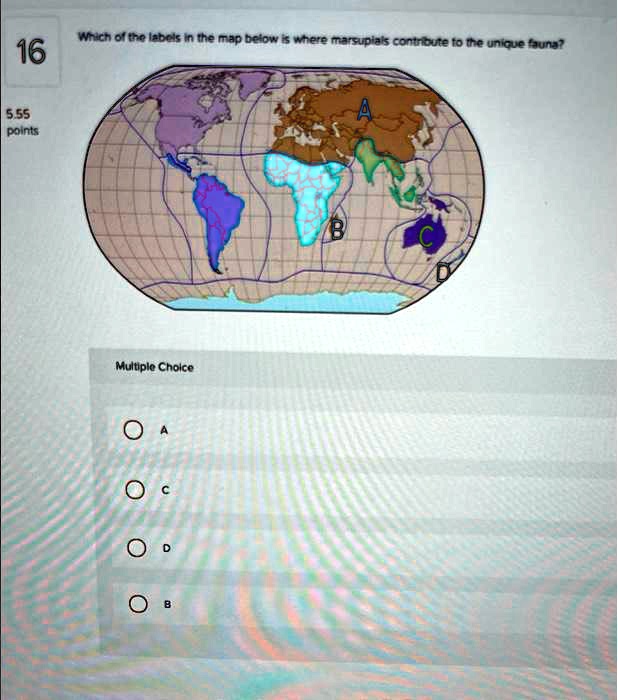 SOLVED: 16 Which of the labels in the map below is where marsupials