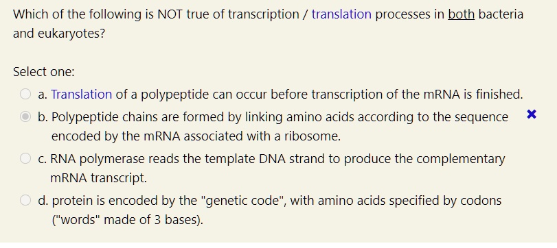 Which of the following is NOT true of transcription / translation processes in both bacteria and eukaryotes?
Select one:
a. Translation of a polypeptide can occur before transcription of the mRNA is finished.
b. Polypeptide chains are formed by linking amino acids according to the sequence encoded by the mRNA associated with a ribosome.
c. RNA polymerase reads the template DNA strand to produce the complementary mRNA transcript.
d. protein is encoded by the "genetic code", with amino acids specified by codons ("words" made of 3 bases).