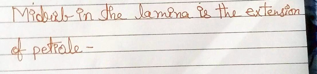 Midrib in the lamina is the extension of petiole -