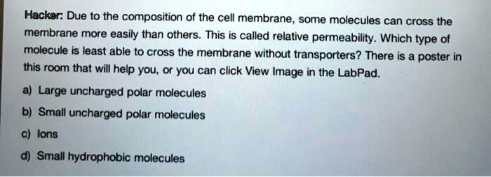 Hacker: Due to the composition of the cell membrane, some molecules can cross the membrane more easily than others. This is called relative permeability. Which type of molecule is least able to cross the membrane without transporters? There is a poster in this room that will help you, or you can click View Image in the LabPad.

a) Large uncharged polar molecules
b) Small uncharged polar molecules
c) Ions
d) Small hydrophobic molecules