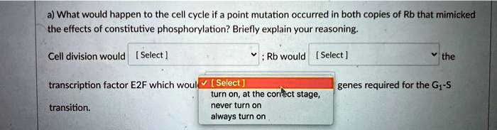 a what would happen to the cell cycle if a point mutation occurred in ...